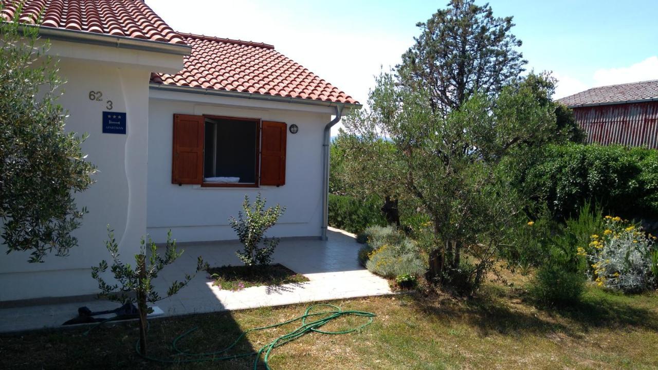 Apartman Ruza Brzac Exterior photo